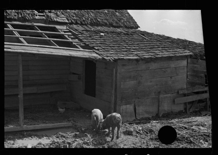 0593_Pig-sty , Lauderdale County , Mississippi