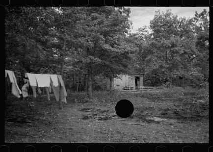 0630_possible site for timber house construction