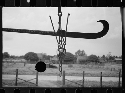 0636_ Irwinville Farms Project , Georgia