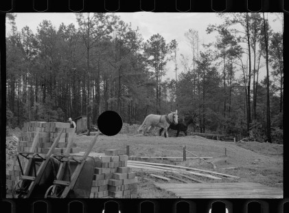 0653_Working horses , Grady County , Georgia