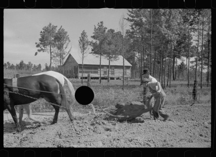 0654_,Resettlement farming , Grady County , Georgia