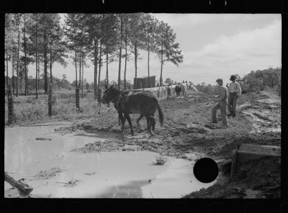 0655_,Resettlement farming , Grady County , Georgia