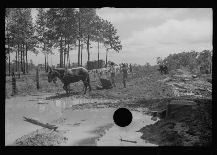 0656_ Land improvement , Grady County , Georgia