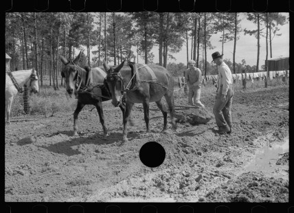 0657_Land improvement , heavy ground, Grady County, Georgia
