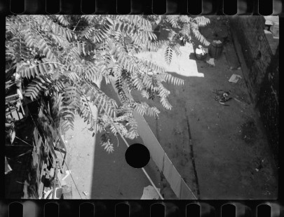 0666_No recognisable image , error