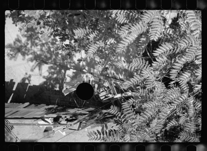 0667_ No recognisable image , error