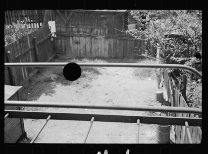 0673_ Yard of Sub-standard housing , Washington ,D.C.