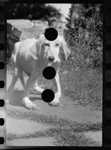 0684_ superfluous image