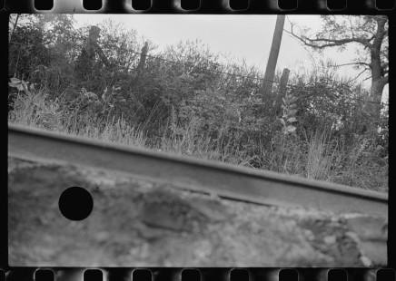 0729_Probably spoiled negative , random view of railroad track