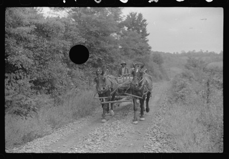 0742_African-Americans driving a horse drawn wagon , unknown location