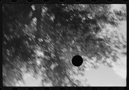 0750_accidental activation of the shutter