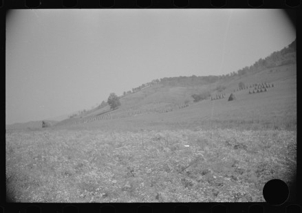 0764_Corn stacks , farming , West Virginia