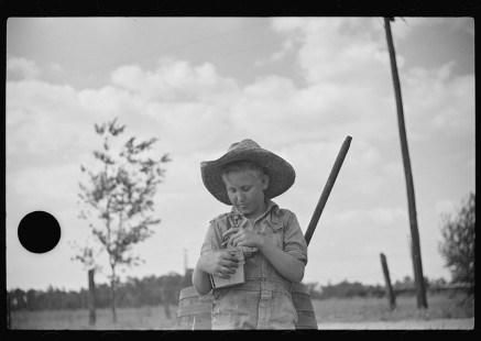 0785_Young strawberry picker , near Lakeland ,Florida