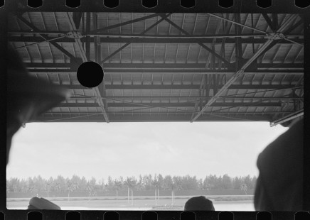 0788_Hores racing , Hialeah Park ,