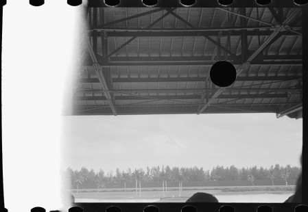 0790_Hores racing , Hialeah Park ,