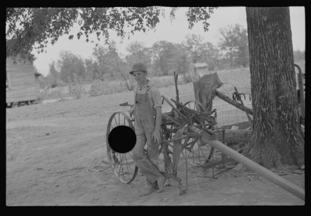 0808_Sharecropper's yard , Hale County , Alabama