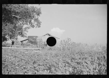 0817_Sharecropper's field and buildings Hale County , Alabama
