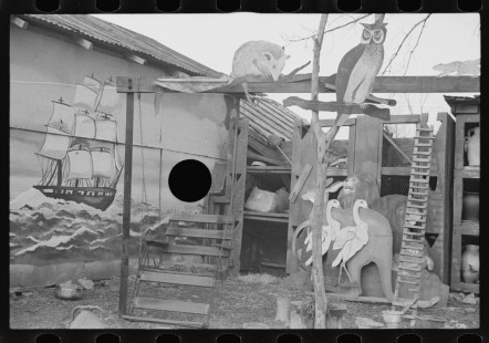 0823_Curios in yard , Forrest City , Arkansas