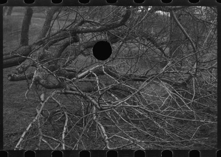 0865_Brushwood, no obvious reason or definite location