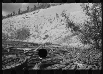 0880_Snow covered timber rollway, Au Sable river , Michigan