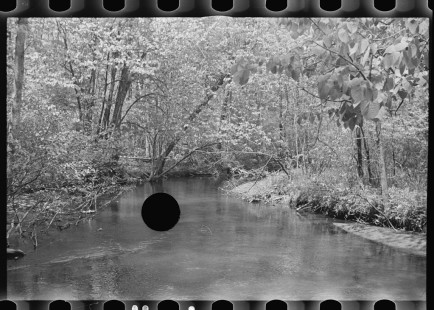 0885_Tranquil river scene , possibly Au Sable river, Michigan
