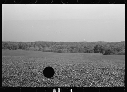 0889_Large expanse of agricultural land