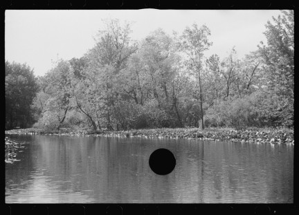 0990_Tranquil river scene , possibly Au Sable river, Michigan