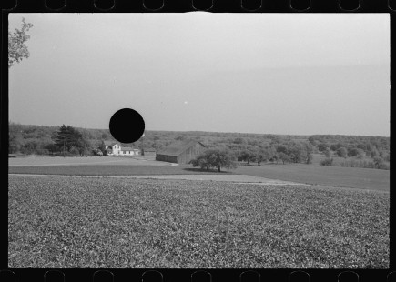 0896_Large property , deciduous woodlands , unknown location