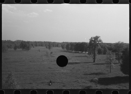 0898_Riverside pasture,