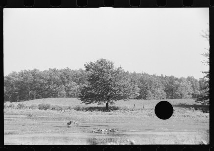 0901__Flooded pasture , unknown location,