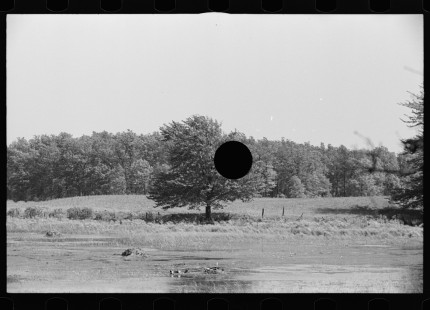 0902__flooded pasture , unknown location,