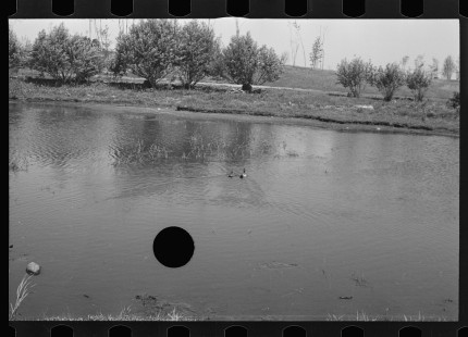 0903_Tranquil river scene , possibly Au Sable river, Michigan