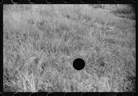 0975_Probably unintentional exposure