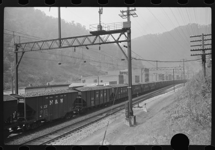 0988_Freight train hauling coal, West Virginia