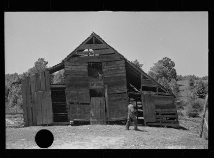 0034_Tenant farmer