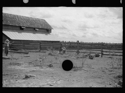 0064_The Slaughter of a Bull
