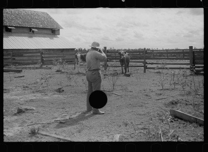 0065_The Slaughter of a Bull
