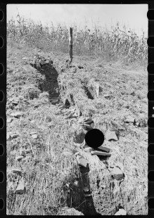 0217_ Hillside farm land detail, Garrett County, Maryland