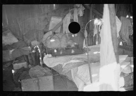 0228_Probably interior squatter's camp, Arkansas