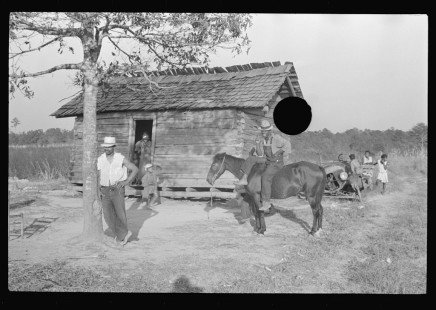 0254_Strawberry pickers, Hammond, Louisiana