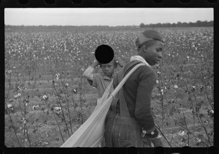 0260_Young African -American cotton picker, Pulaski County