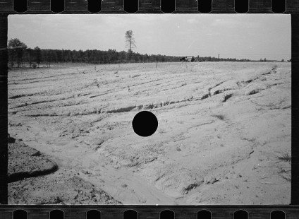 0293_Land possibly suitable for goat rearing ,Prince George's County
