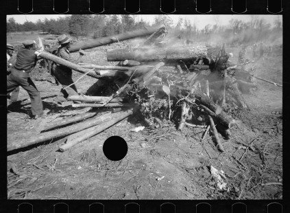 0345_Land clearage, Prince George's County, Maryland