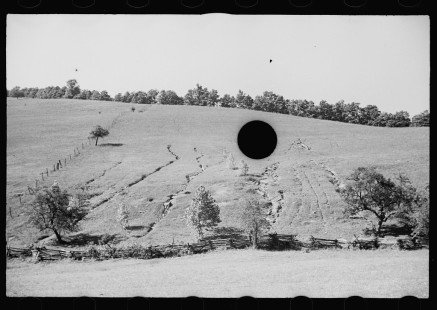 0383_Soil erosion, gullied, hillside
