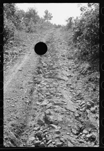 0394_Rough ungraded road, Garrett County