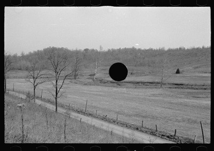 0448_ Abandoned farmland, Brown County